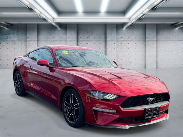 Used 2021 Ford Mustang EcoBoost with VIN 1FA6P8TH5M5142364 for sale in Patchogue, NY