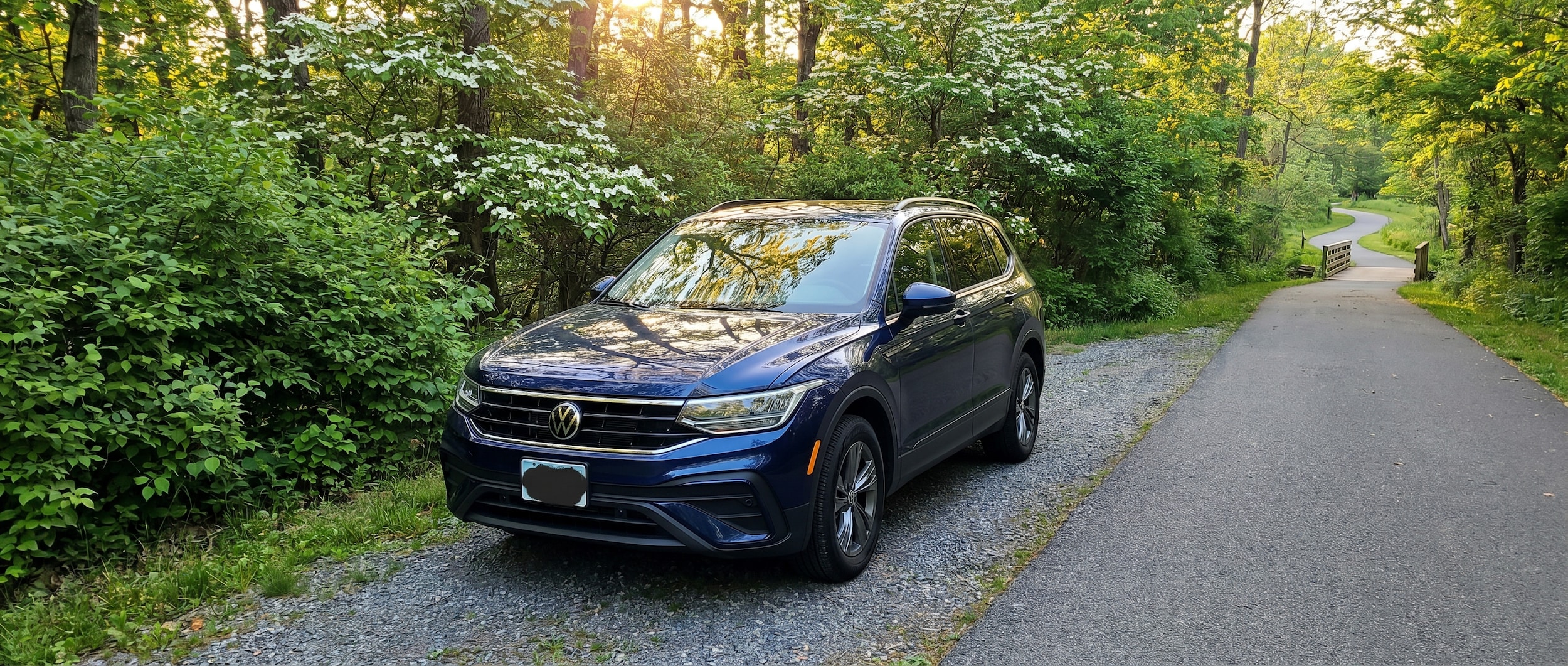 Volkswagen Tiguan front end clean and protected from bug damage in Greenville SC spring