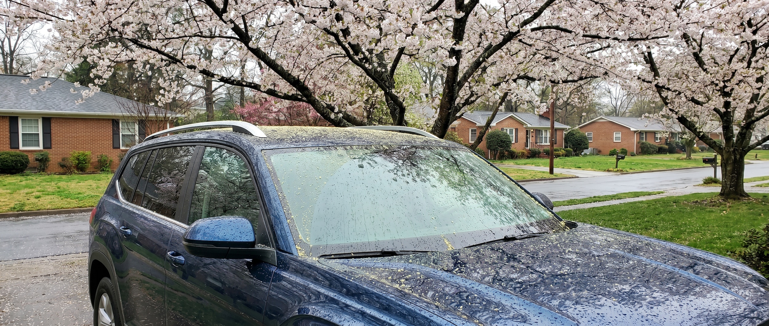 Volkswagen windshield maintenance for pollen season in Greenville SC