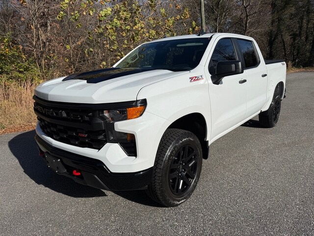 2024 Chevrolet Silverado 1500 Custom Trail Boss photo 2