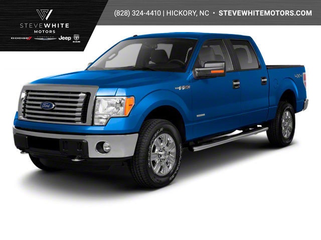 2010 Ford F-150's photo