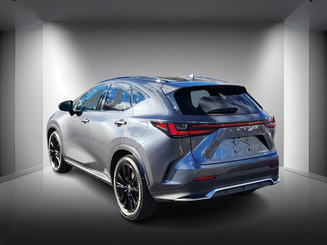 2024 Lexus NX 450h+ F SPORT Handling photo 3