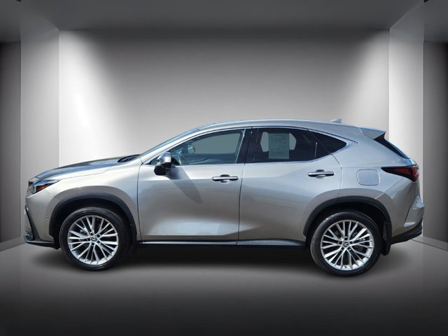 2025 Lexus NX 350h Luxury photo 2