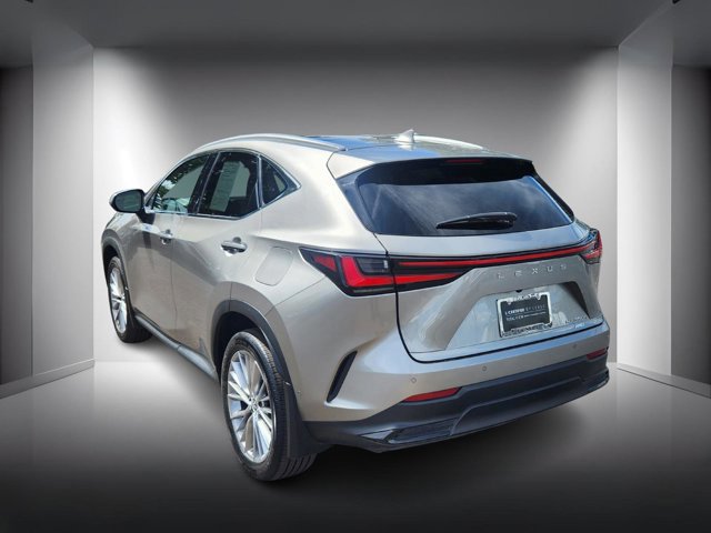 2025 Lexus NX 350h Luxury photo 3