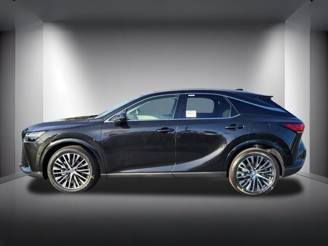 2025 Lexus RX 350 Premium photo 2