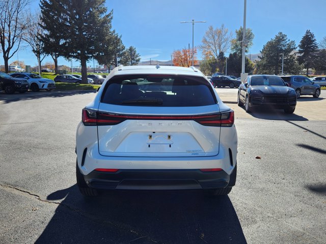 2024 Lexus NX 350h Premium photo 4
