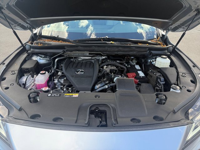 Photo 20