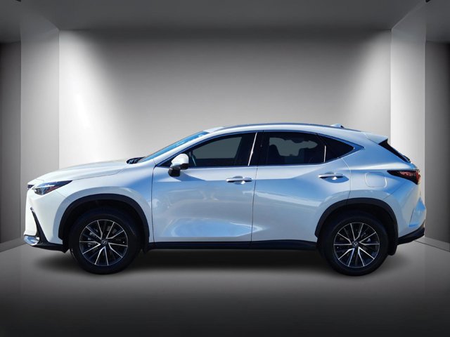 2024 Lexus NX 350h Premium photo 2
