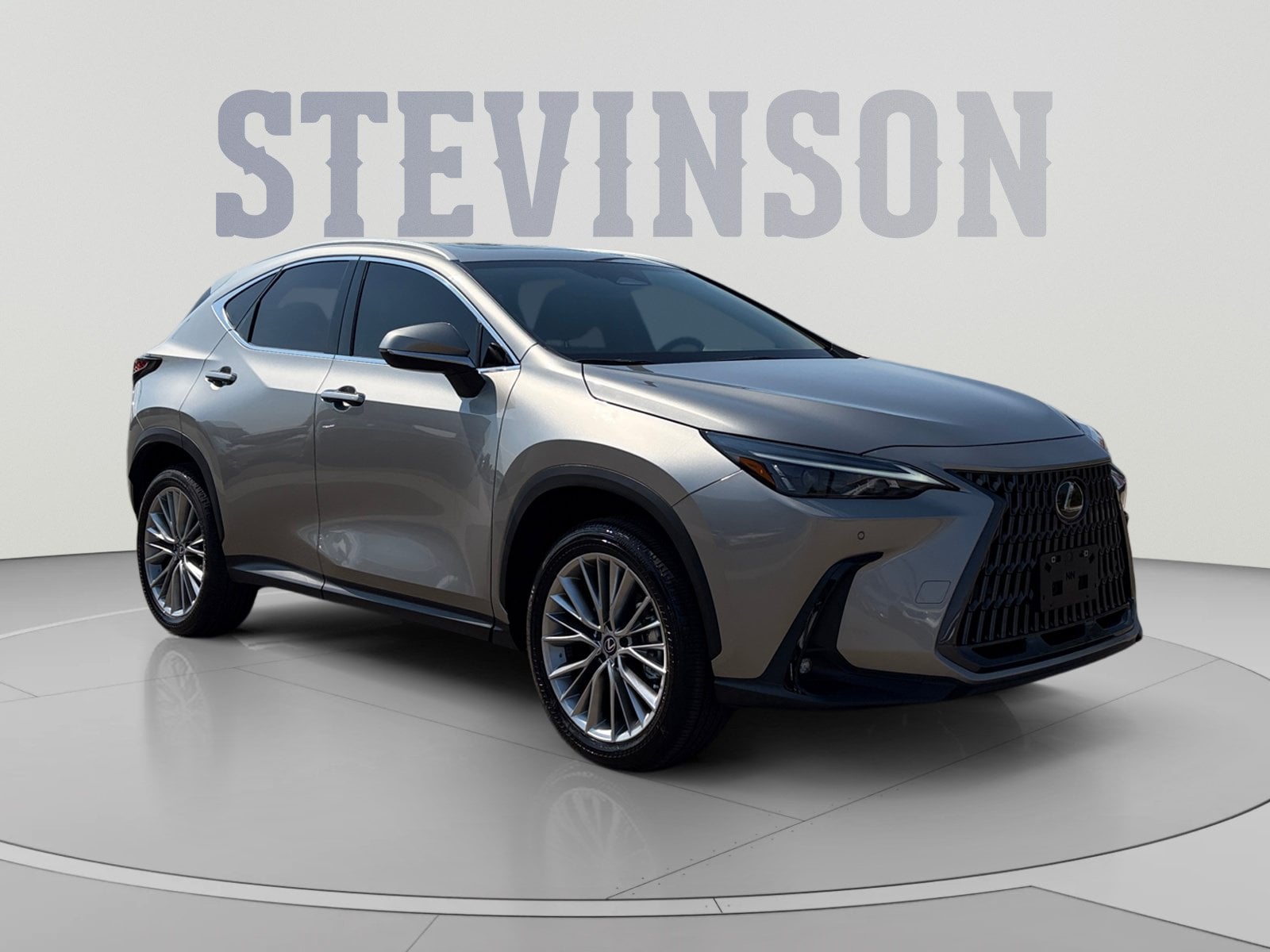 2025 Lexus NX 350 - Photo 8