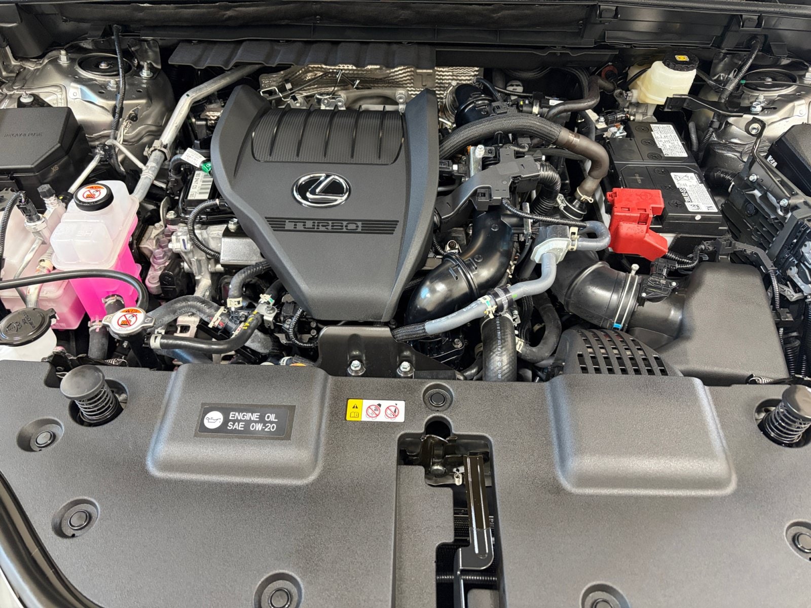 2025 Lexus NX 350 - Photo 22