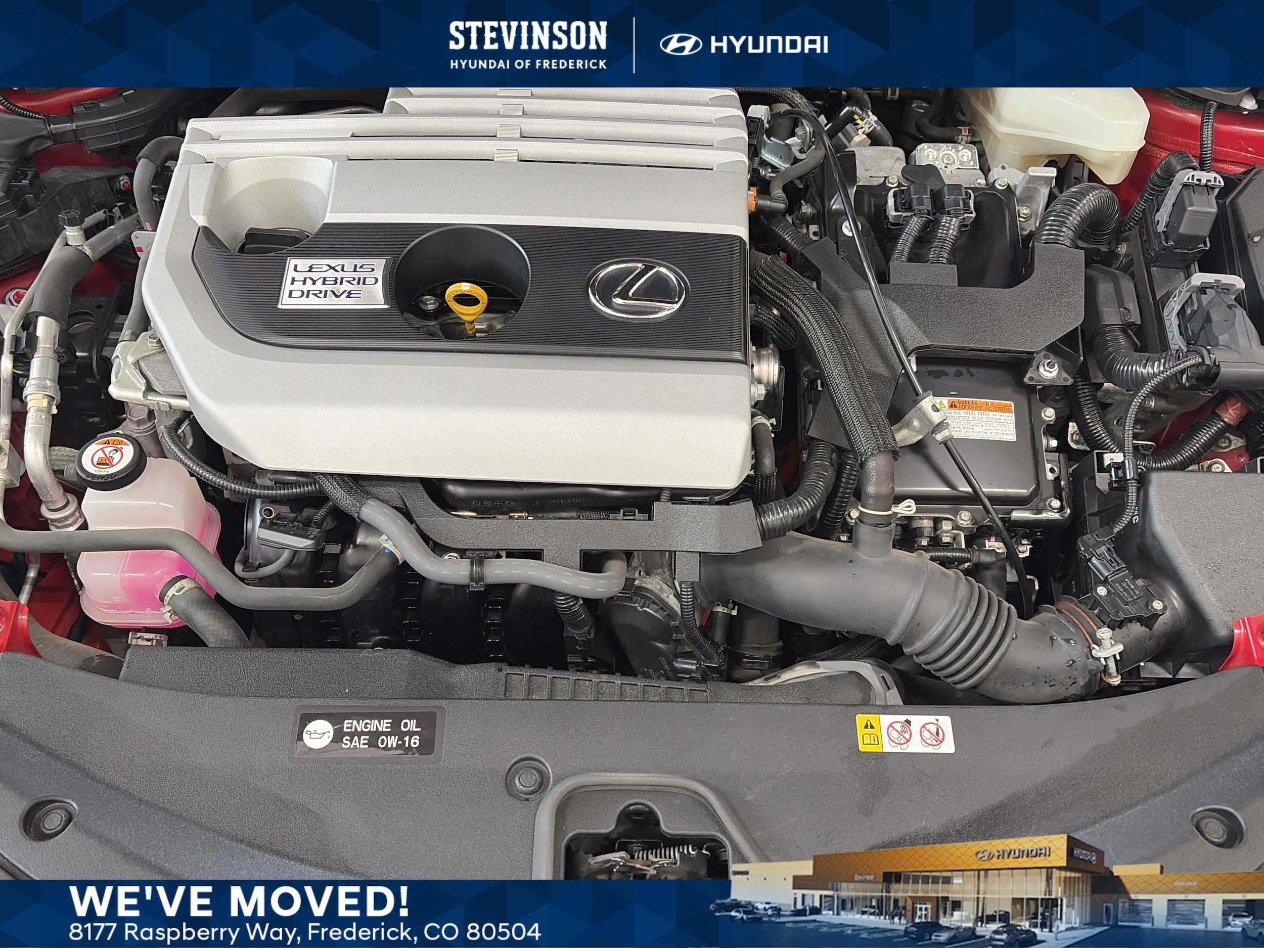 2021 Lexus UX 300h 250h AWD's photo