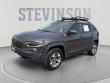 Used 2019 Jeep Cherokee Trailhawk 4x4 SUV