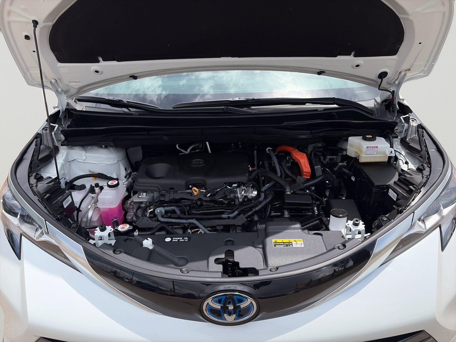 2025 Toyota Sienna Platinum - Photo 9