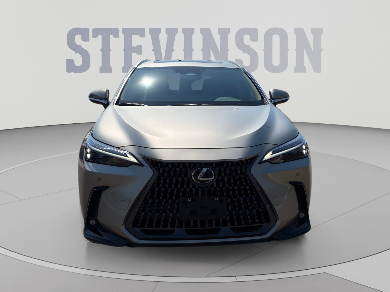 2025 Lexus NX 350 - Photo 9