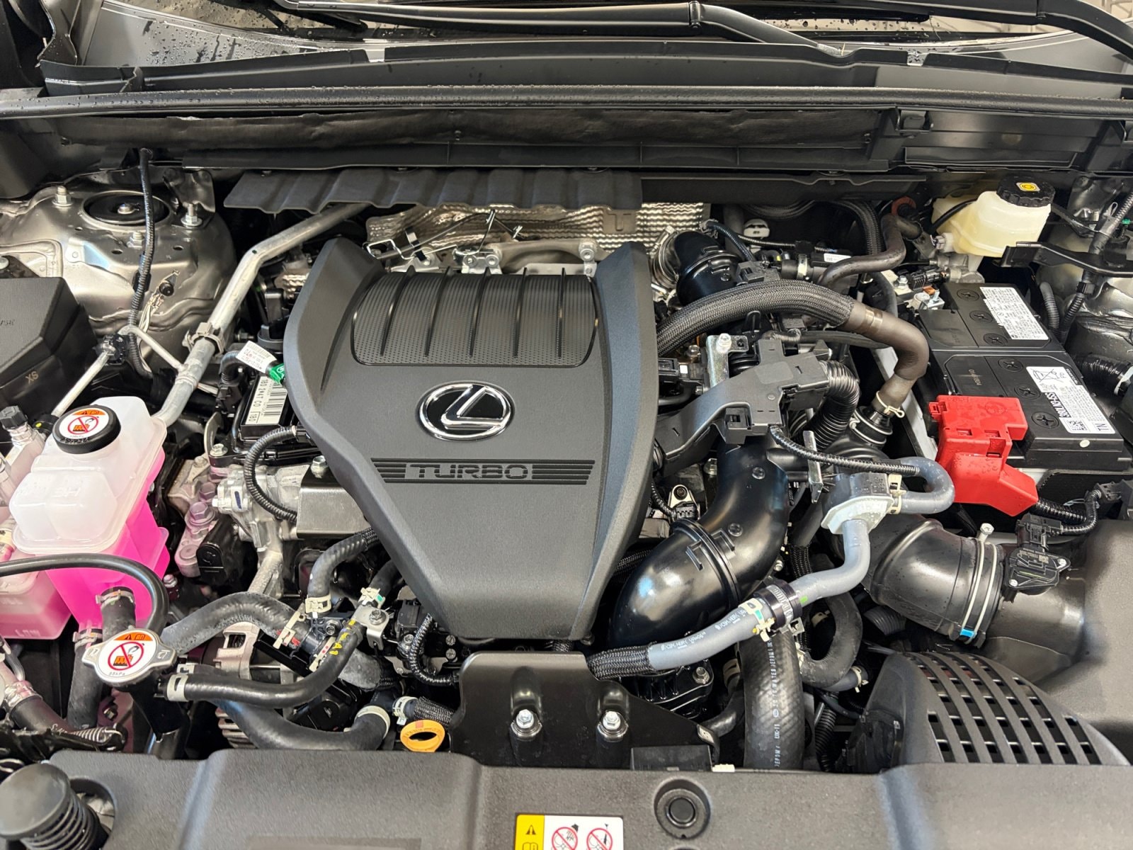 2025 Lexus NX 350 - Photo 23