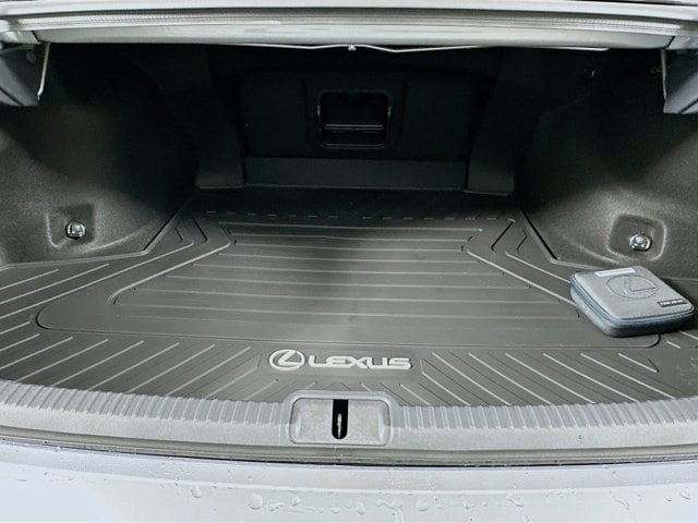 2025 Lexus ES 300h - Photo 29