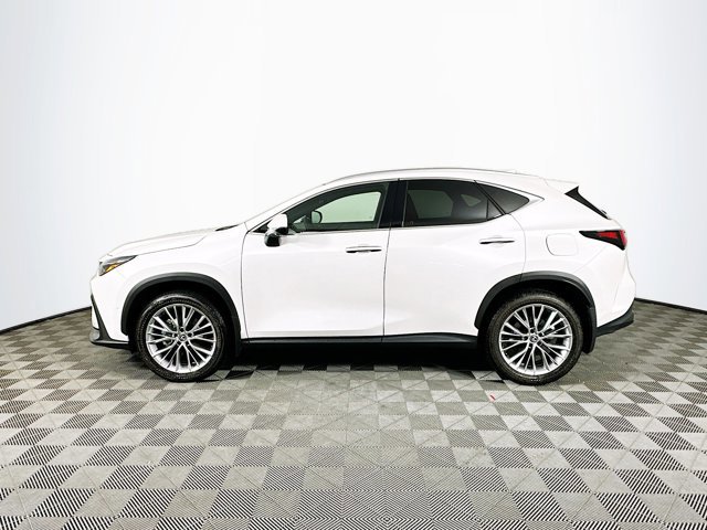 2025 Lexus NX 350 Luxury photo 4