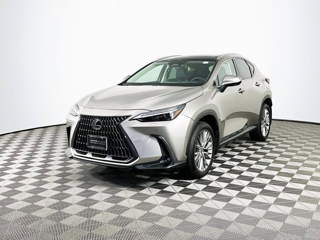 2025 Lexus NX 350h Luxury photo 3