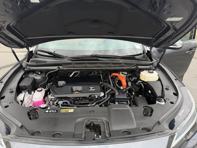 Photo 20