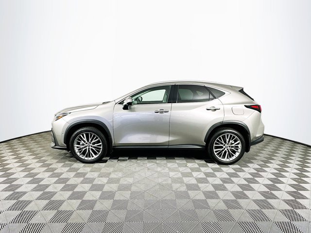 2025 Lexus NX 350h Luxury photo 4