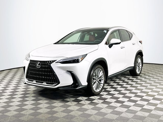 2025 Lexus NX 350 Luxury photo 3