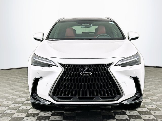 2025 Lexus NX 350 Luxury photo 2