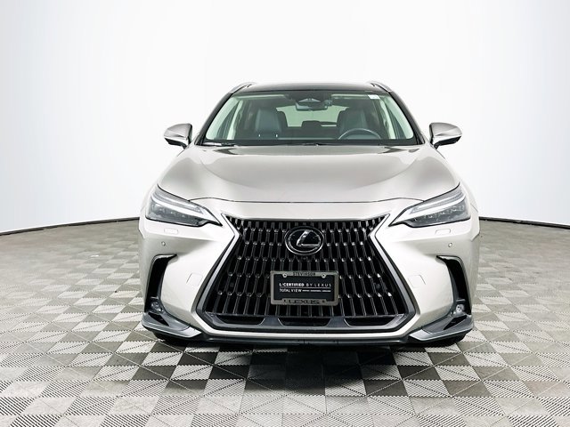 2025 Lexus NX 350h Luxury photo 2