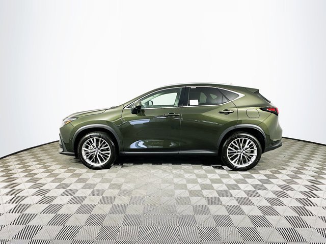 2026 Lexus NX 350 Luxury AWD photo 4
