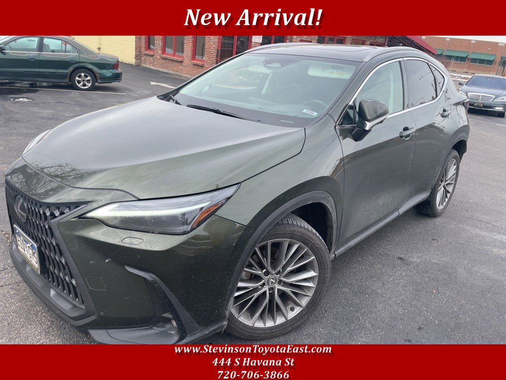 2024 Lexus NX 350's photo