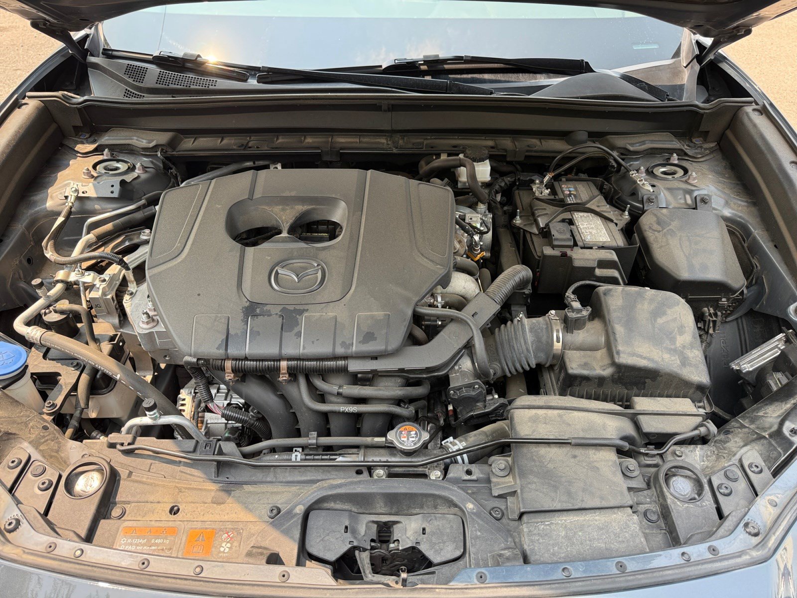 Photo 20