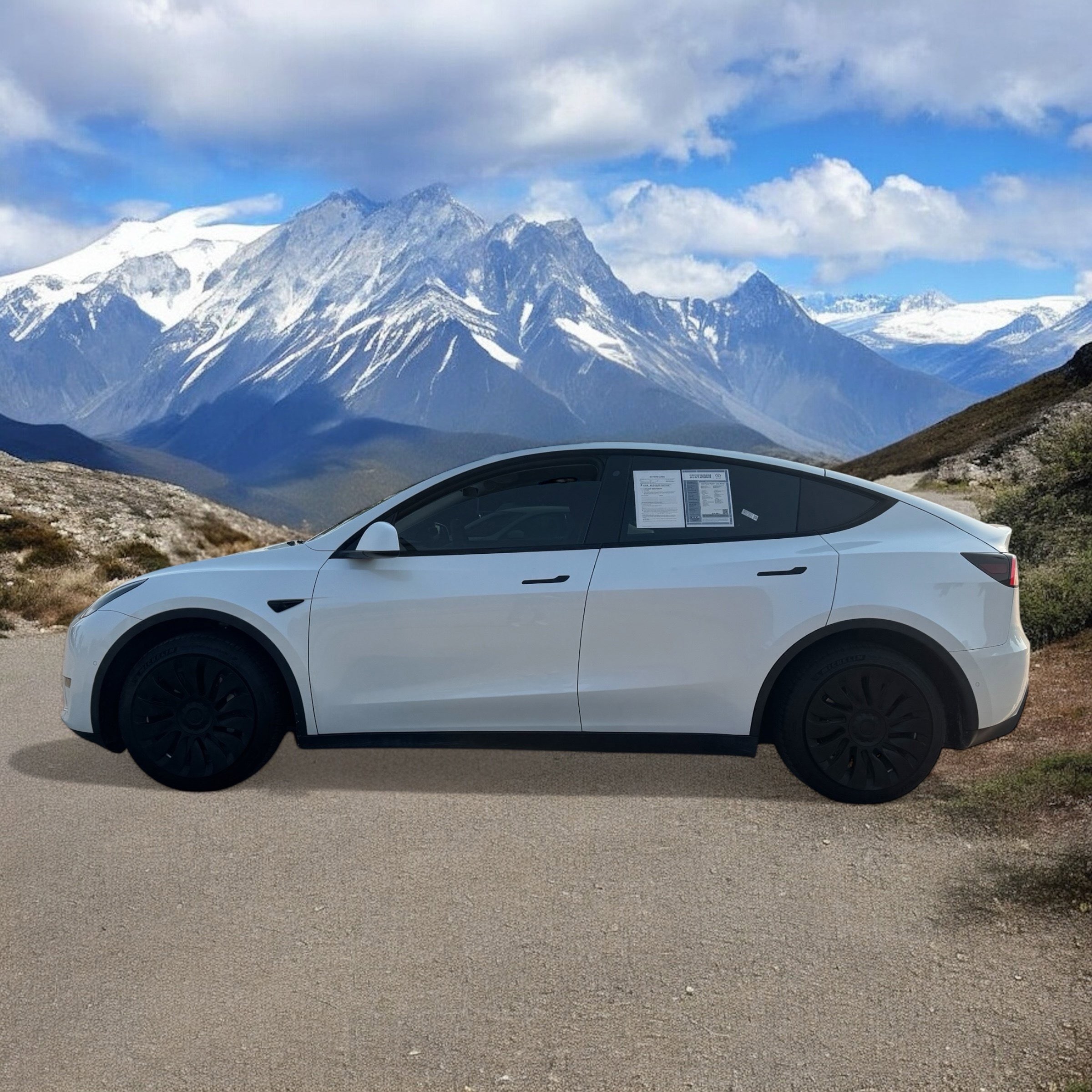 Used 2020 Tesla Model Y Long Range with VIN 5YJYGDEE1LF045013 for sale in Northfield, Minnesota