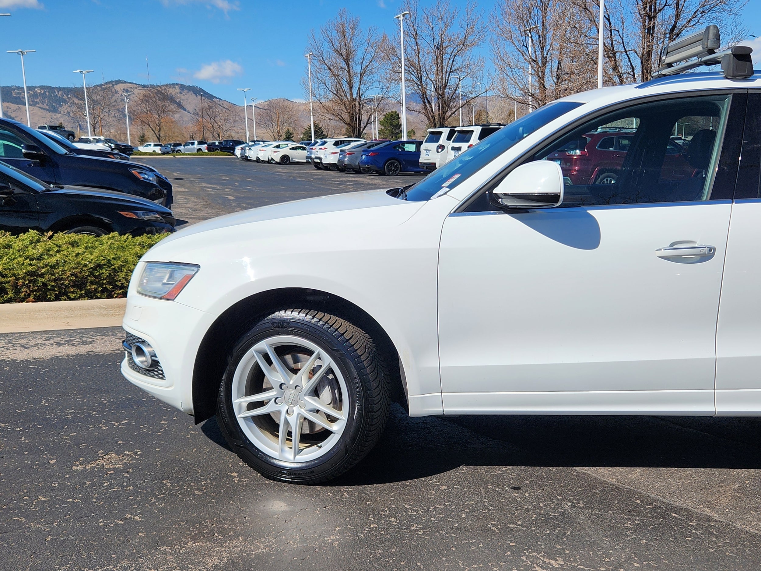 Used 2017 Audi Q5 Premium Plus with VIN WA1D7AFP2HA063592 for sale in Lakewood, CO