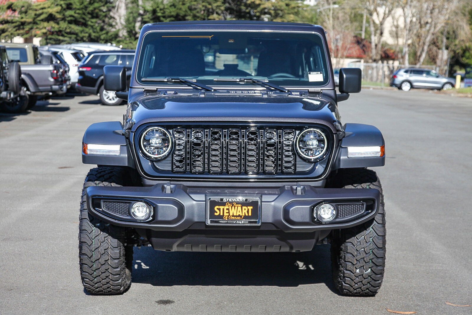 2025 Jeep Wrangler Willys photo 2