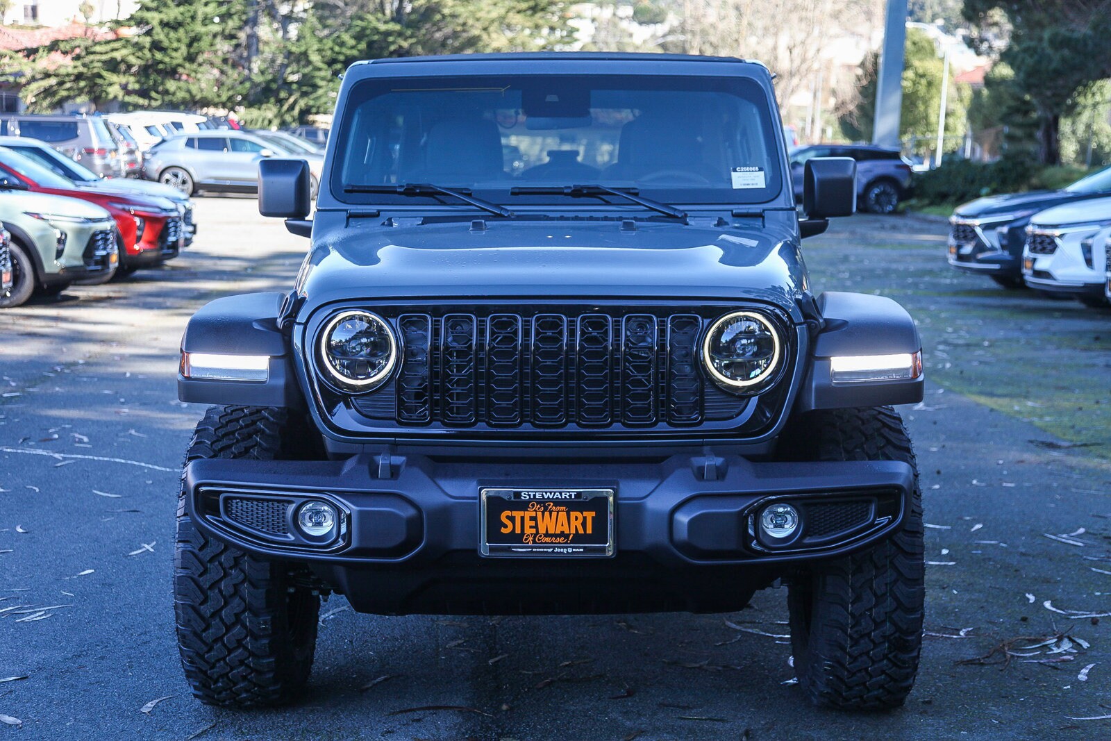 2025 Jeep Wrangler Willys photo 2