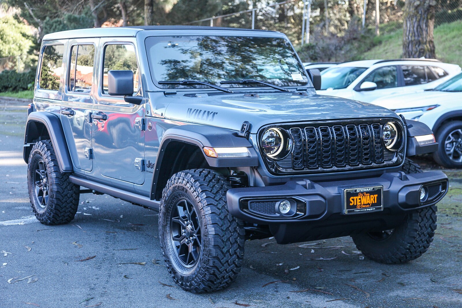 2025 Jeep Wrangler Willys photo 3