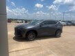  LEXUS NX 250