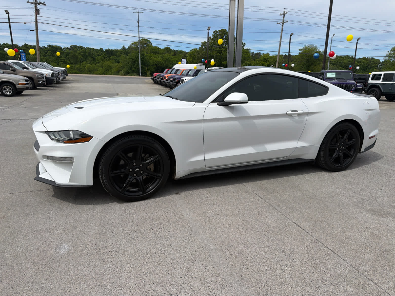 Used 2019 Ford Mustang EcoBoost with VIN 1FA6P8TH4K5132373 for sale in Newport, TN