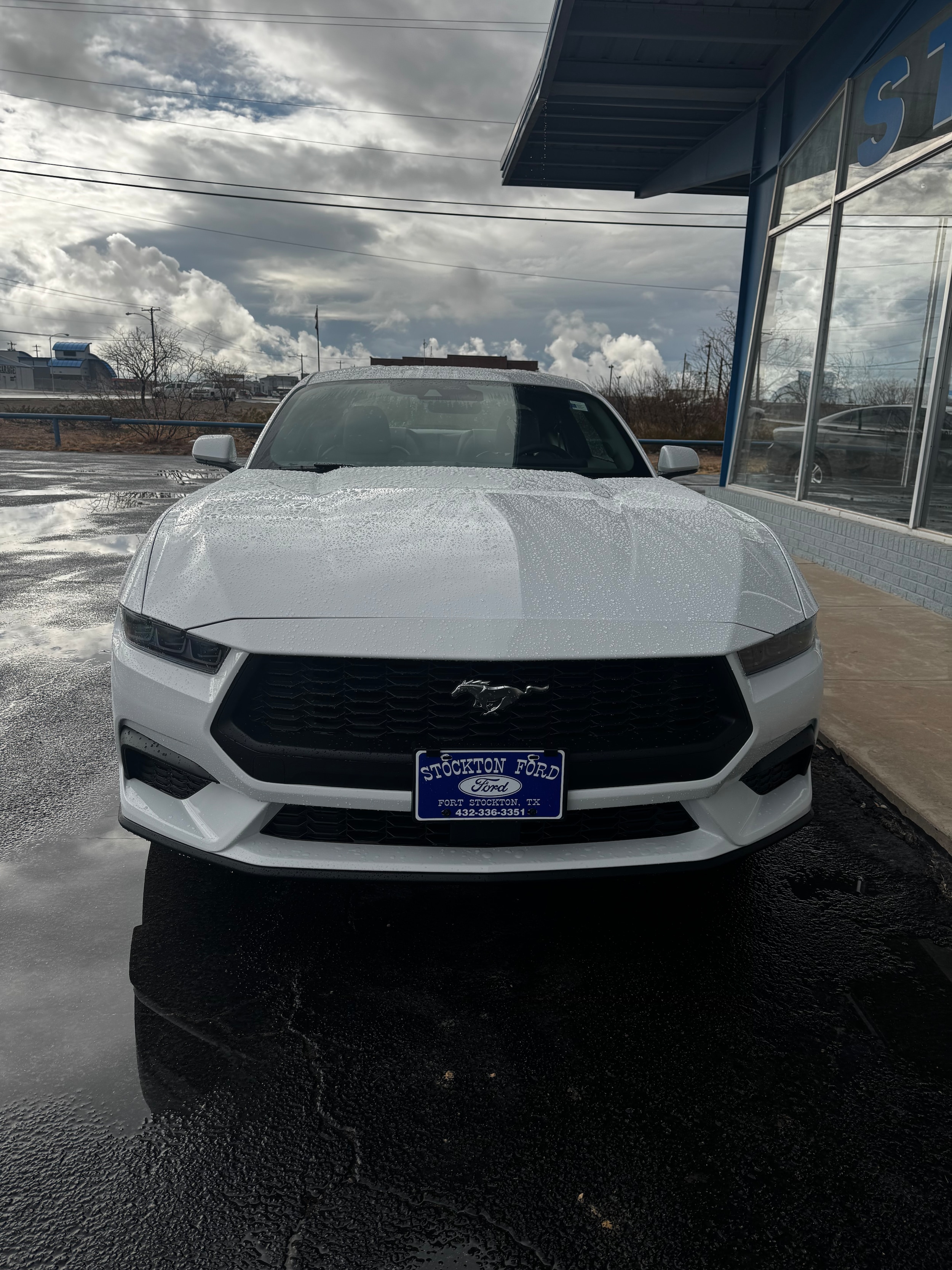 2026 Ford Mustang EcoBoost Premium Fastback's photo