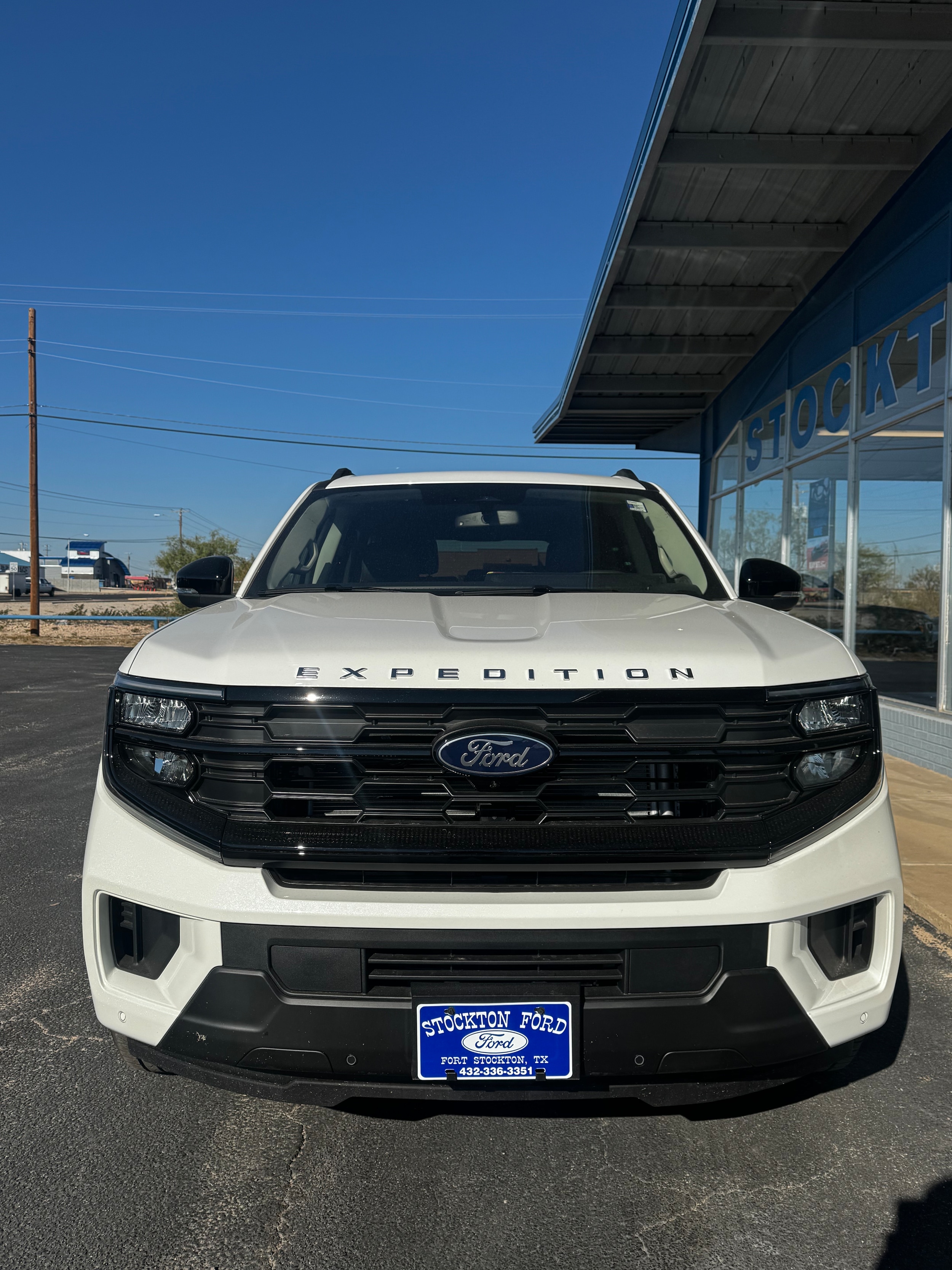 2025 Ford Expedition Active's photo