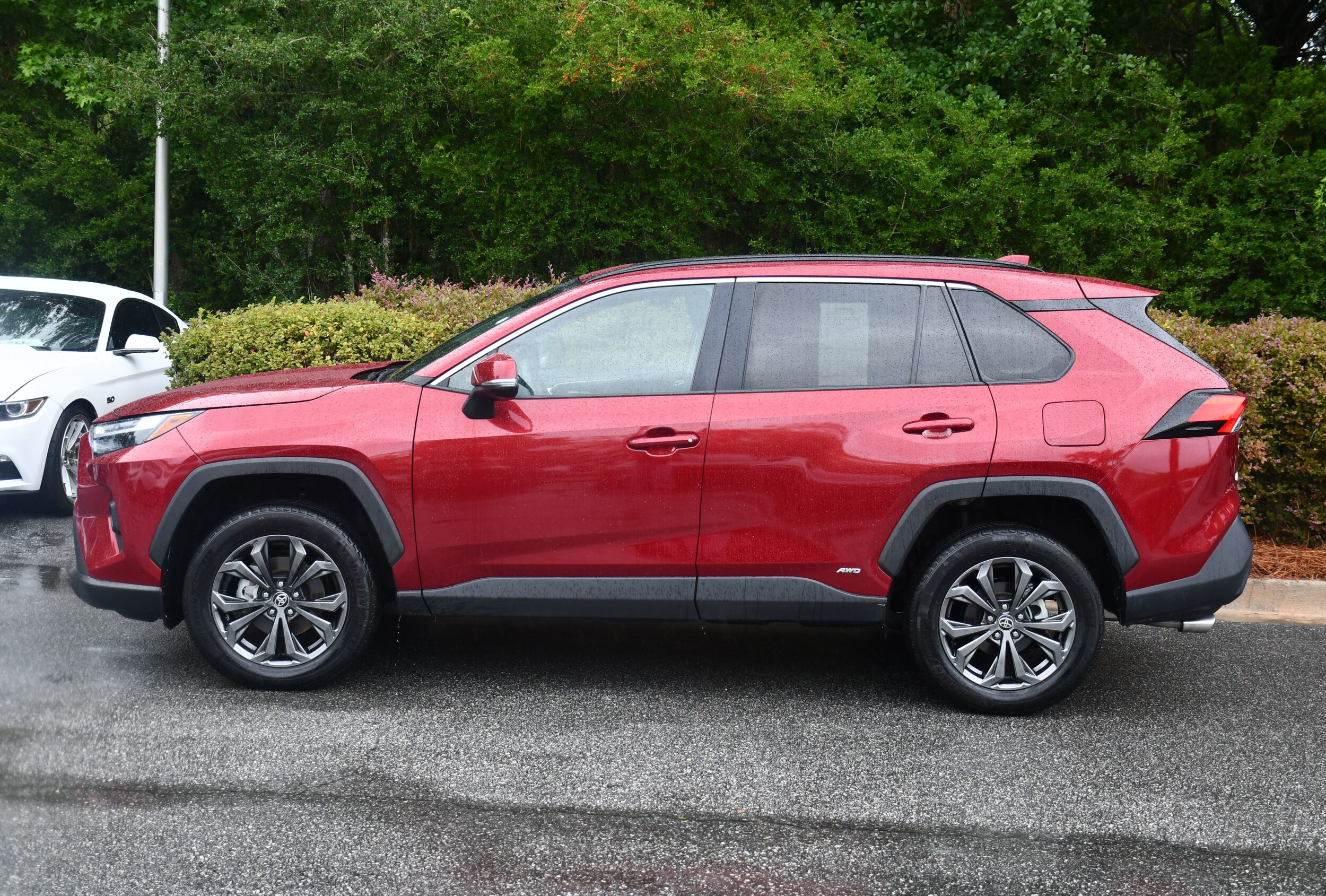 2022 Toyota RAV4 Hybrid XLE Premium photo 2