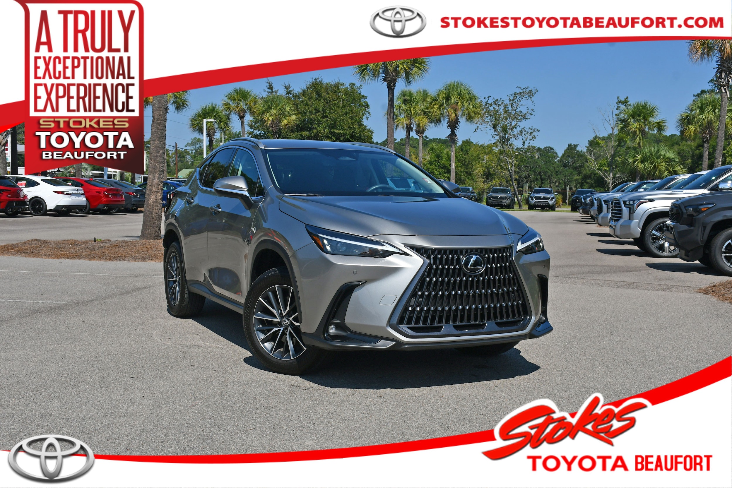 2025 Lexus NX 250