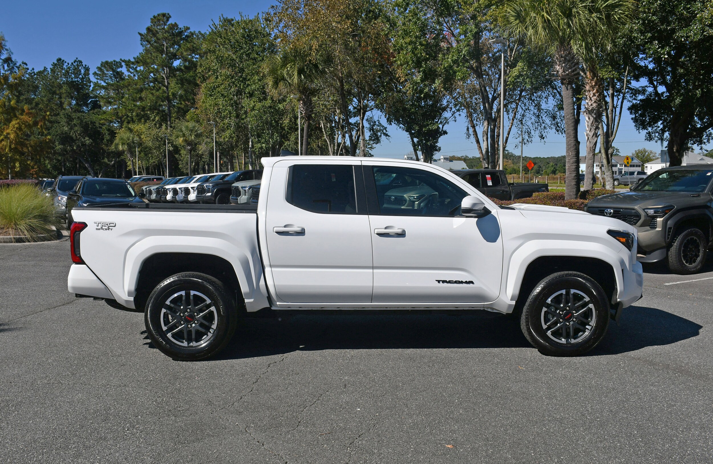 2024 Toyota Tacoma Limited Double Cab photo 4