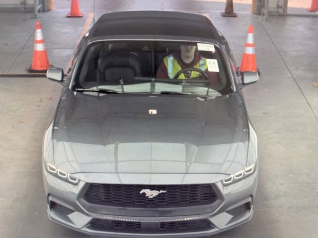 2024 Ford Mustang EcoBoost Premium photo 3