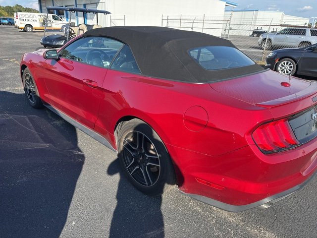 2023 Ford Mustang EcoBoost Premium Convertible photo 3