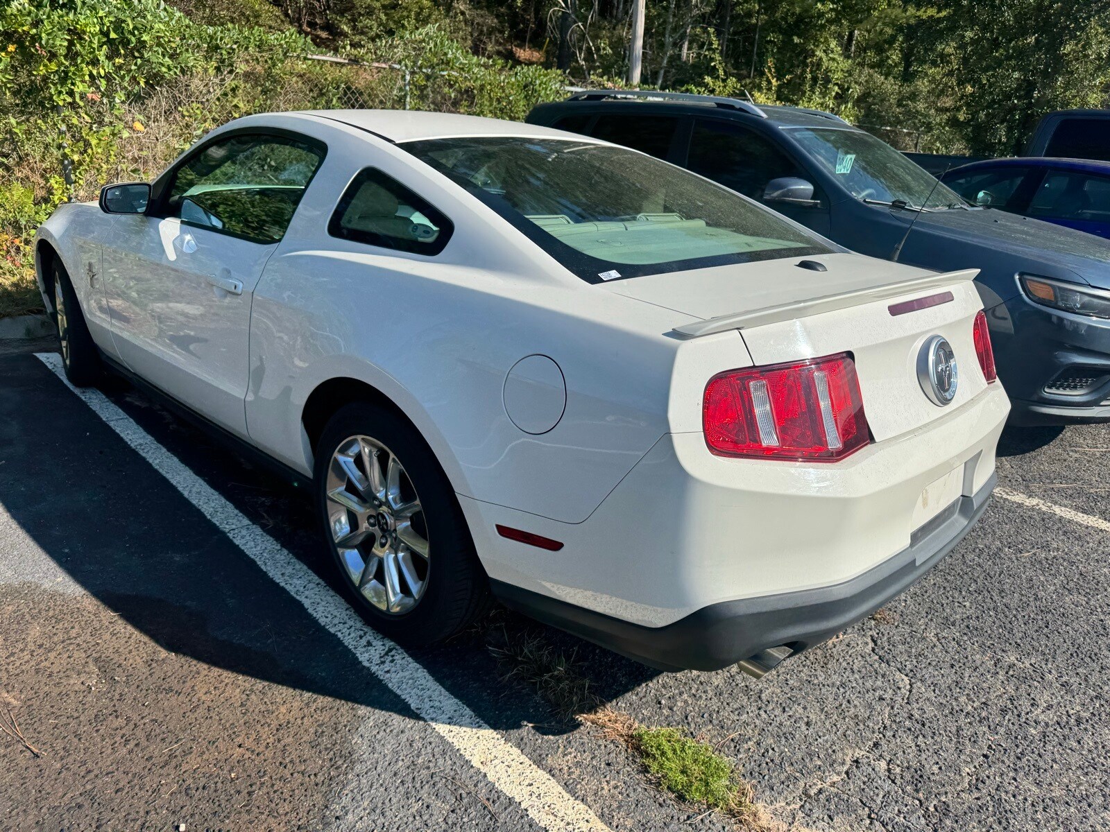2011 Ford Mustang V6 Premium photo 4