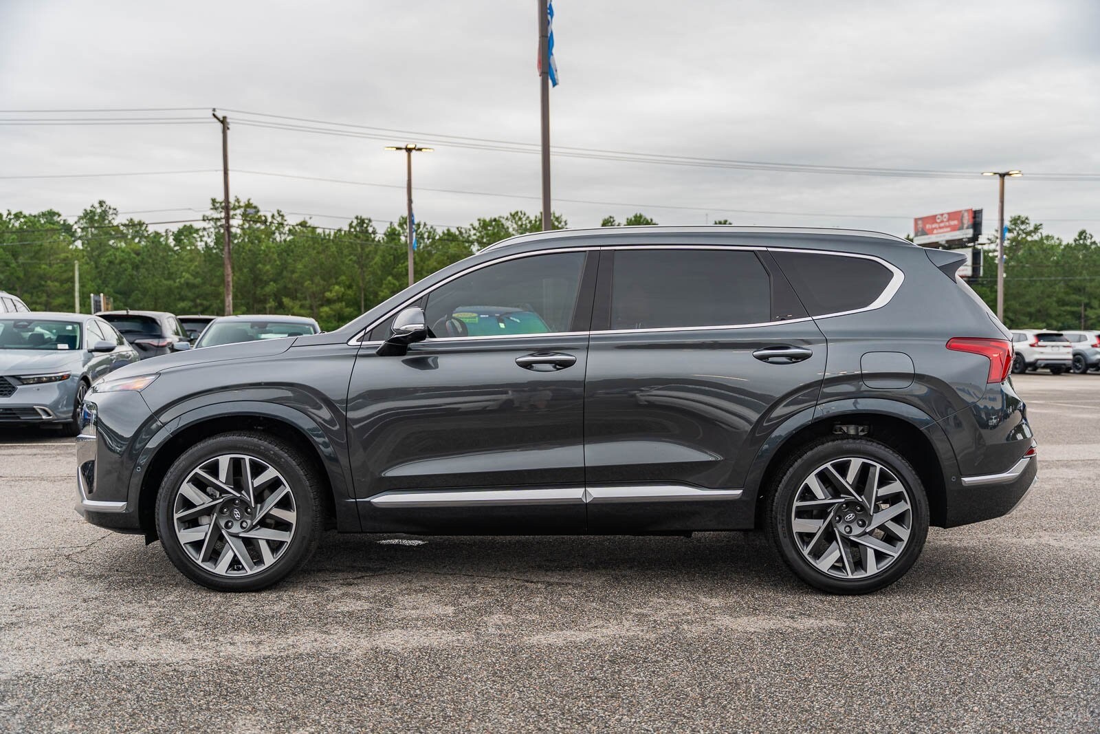 2023 Hyundai Santa Fe Calligraphy photo 4