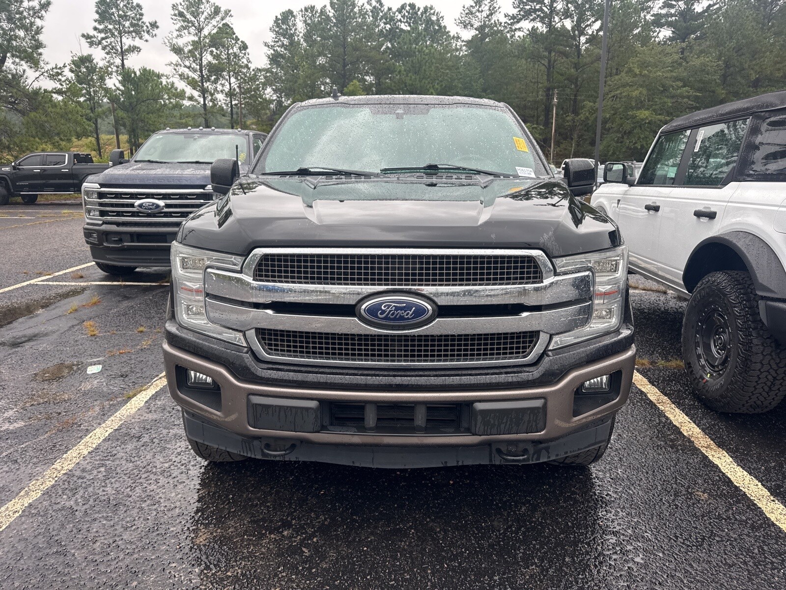 2019 Ford F-150 King Ranch photo 2