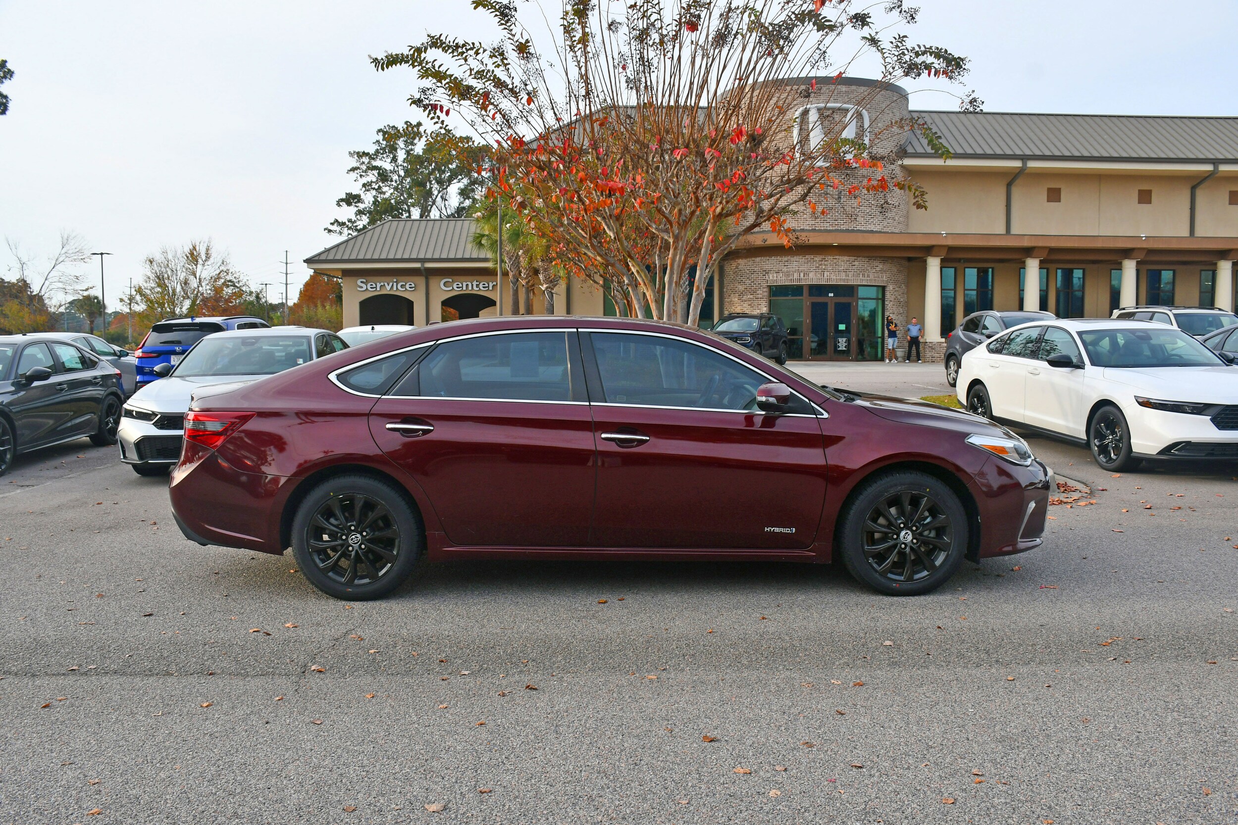 2016 Toyota Avalon Hybrid XLE Premium photo 4