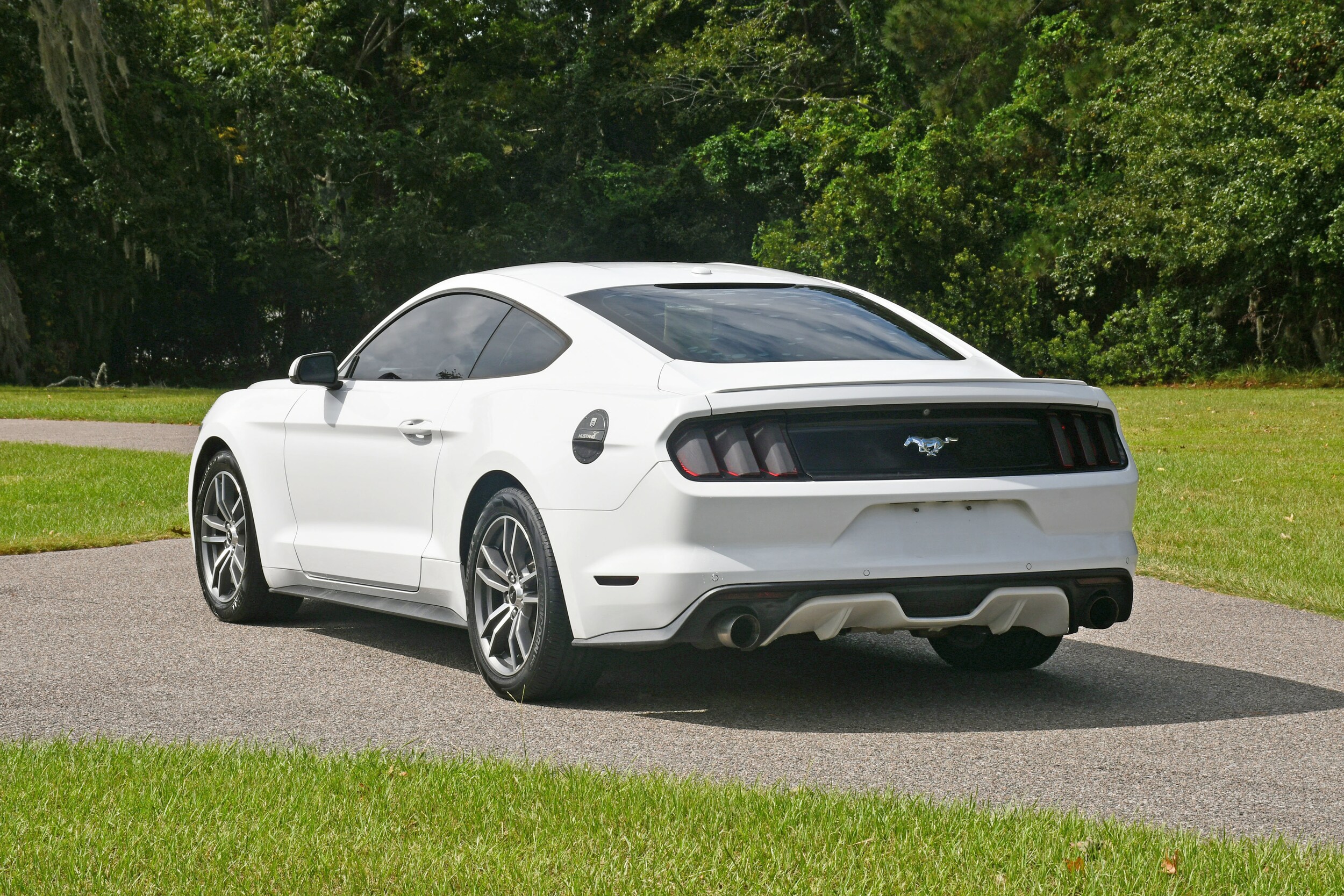 2015 Ford Mustang EcoBoost Premium photo 3