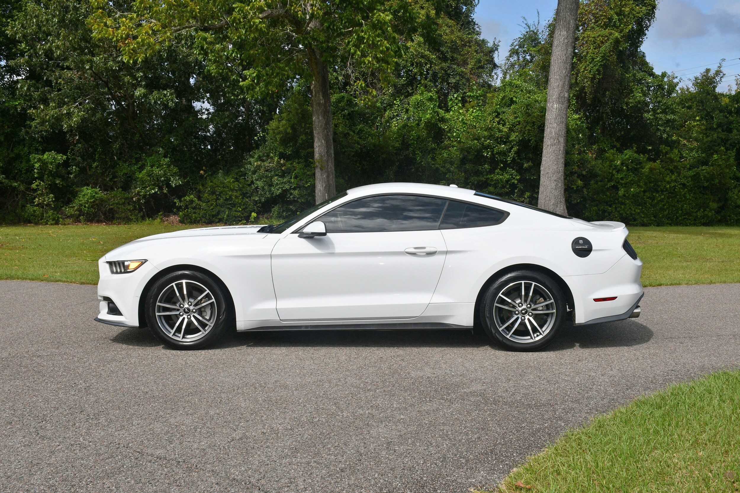 2015 Ford Mustang EcoBoost Premium photo 2
